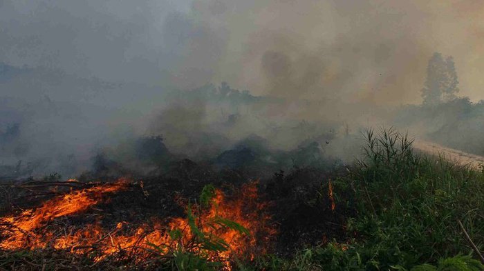 Kebakaran Hutan, Ajaran Agama dan Kajian Amdal yang Terbatas