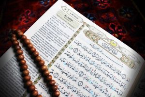 Quran Invites to Think