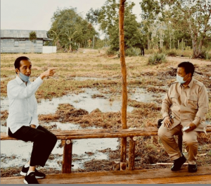 Jokowi Tunjuk Prabowo Sebagai Mandor Lumbung Pangan, Bukti Negara Belum Move On dari (Prajurit) TNI?