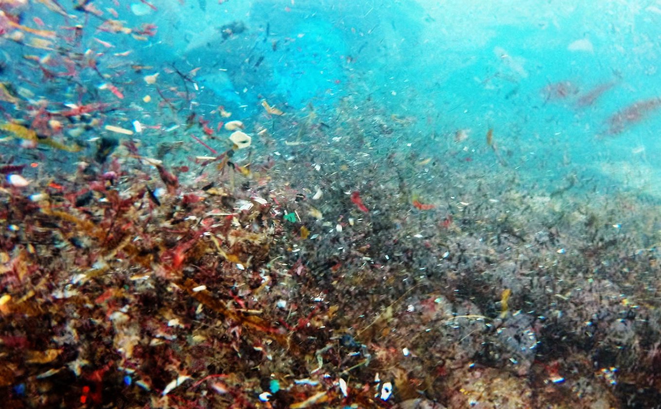 Bahaya Laten Mikroplastik Untuk Manusia Di Sekitar Kita - Fitra.dev