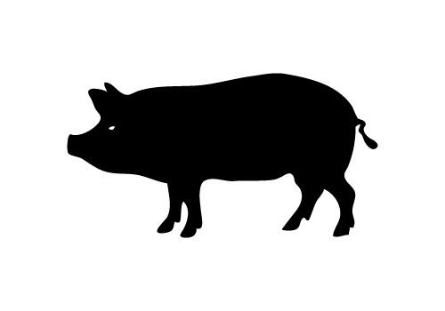 Memamah Wacana Rendang Babi di balik Politik Identitas Masakan Padang
