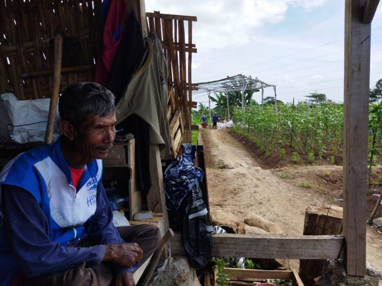 Bertani sebagai Jalan Spiritual: Membaca Alam bersama Pak Di dari Sukorejo, Pasuruan